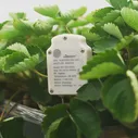 🛍 Измеритель влажности почвы для сада ZIGBEE IP67, монитор температуры и влажности растений, TUYA Smart Life, умный сельскохозяйственный орошение
